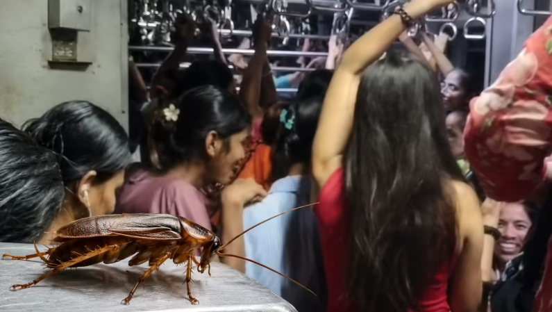 मुंबई लोकलमध्ये झुरळाची एंट्री अन् महिलांच्या डब्यात उडाला एकच गोंधळ; व्हिडिओ व्हायरल